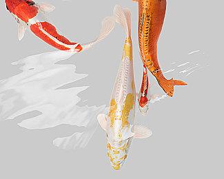 《遗迹2》新DLC“被遗忘的王国”发售 评价褒贬不一